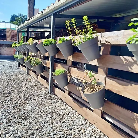 En Bloque Vivienda Con Piscina Y Barbacoa A 15 Min De La Playa * Meis